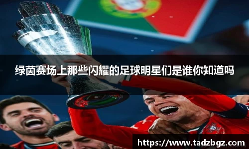 绿茵赛场上那些闪耀的足球明星们是谁你知道吗